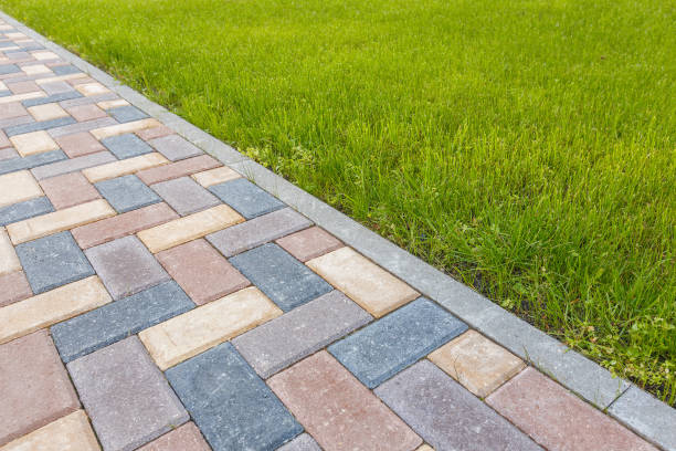 Best Driveway Paver Repair  in Trenton, NJ